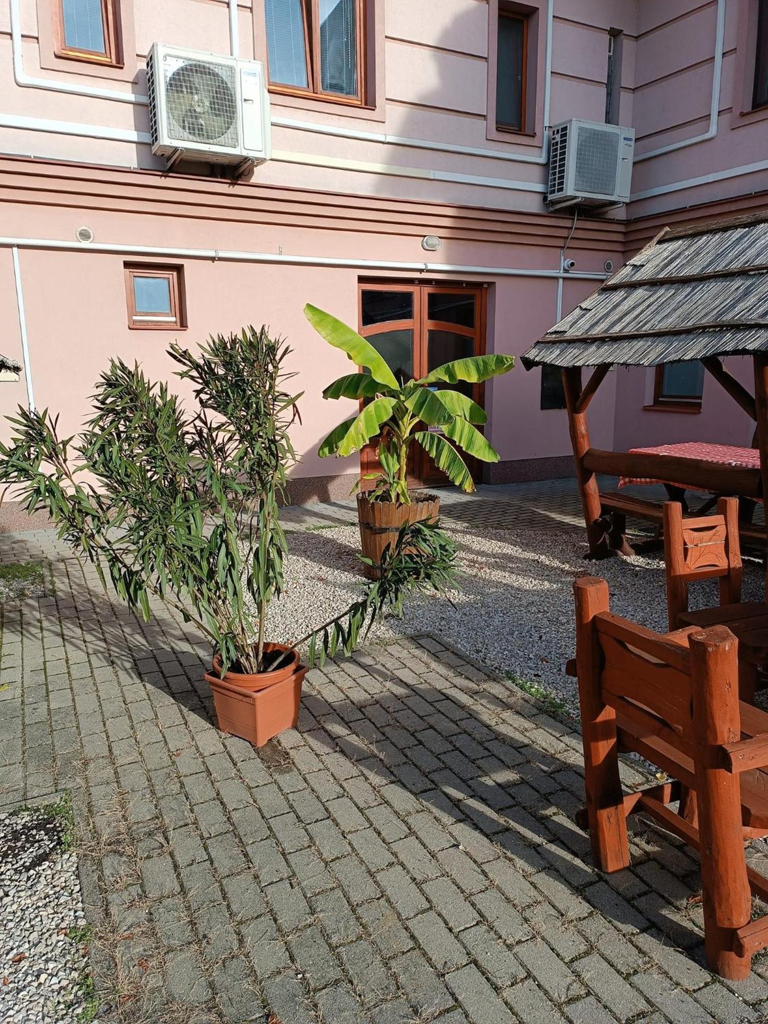 Malom Panzio Bed & Breakfast Kiskunfelegyhaza Ngoại thất bức ảnh